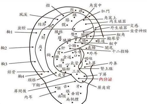 耳朵痣的位置|女人右耳朵有痣图解 耳朵痣十大福痣图片